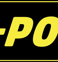 Viz-Point Logo